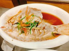 -金龙寨(龙城路店)