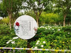 -青龙湖公园