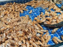 -海德温泉酒店