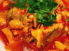 千岛湖有机胖头鱼-魏铭鱼头捞饭(晋阳路店)