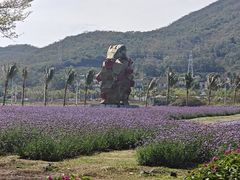 -亚龙湾国际玫瑰谷