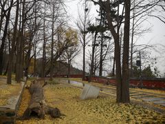 -阳台山自然风景区