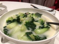 白菜仔-东富酒家(龙湖西溪天街店)