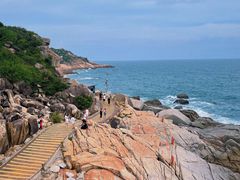 -广东惠东海龟国家级自然保护区