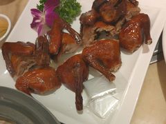 -锦粤宫·精致粤菜(深圳北站店)