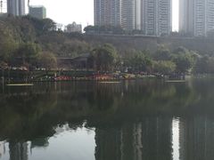 -重庆彩云湖湿地公园
