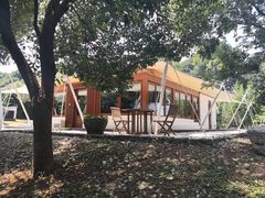 -帐篷客·溪龙茶谷度假酒店