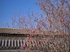 -三里河公园