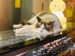 -咖法森林·咖啡  酒吧(天河店)