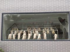 -粥旺庄(芳村店)