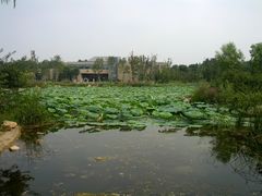 景点-济南森林公园