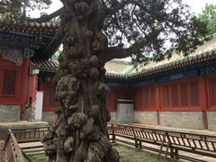 -北京国子监胡同