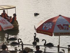 -艾溪湖湿地公园