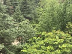 -西南交通大学(九里校区)