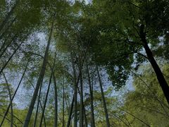 -宝石山