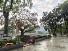 -荔湾湖公园
