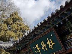-晋祠公园