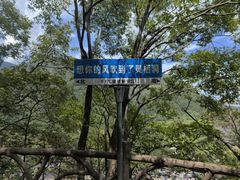 -灵栖洞天