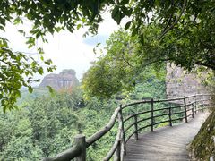 -江西龙虎山景区
