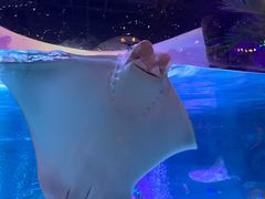 -沈阳海洋探索中心