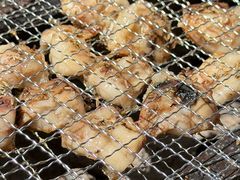 -洪记白水羊头(天坛店)