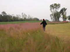 -白鹭湾湿地公园