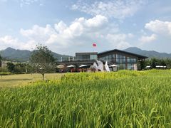 -禾悦庄餐厅