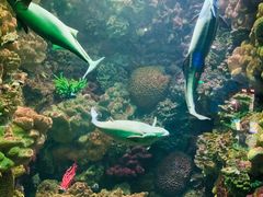 -海合安青岛极地海洋公园
