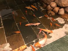 -南安大酒店-自助餐厅