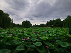 -云居湖