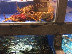 水产区-徐记海鲜·宴会(大唐西市|丰庆店)