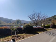 -龙寺生态园