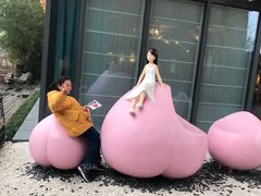 -田园东方蜜桃村的田野营地