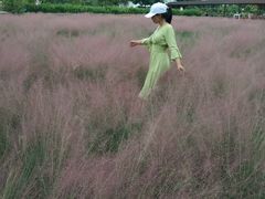 -广东花都香草世界旅游度假区
