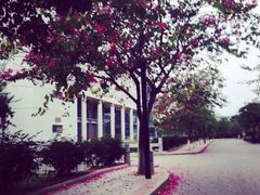 iphone_upload_pic-华侨大学(厦门校区)