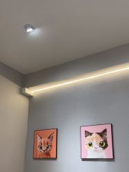 -洗脸猫·洗脸吧