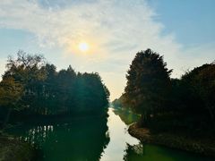 -贡湖湾湿地公园