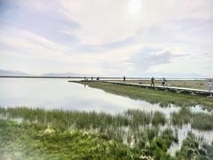 -最心疆拌面·抓饭·烧烤