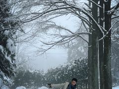 -四明山国家森林公园