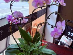 -贰号院子·南京淮扬味(珠江路店)