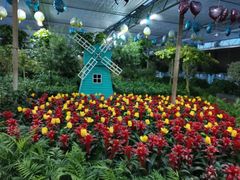 -南宫五洲植物乐园