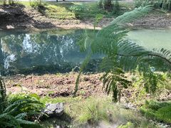 -袁大头包子(光华路店)