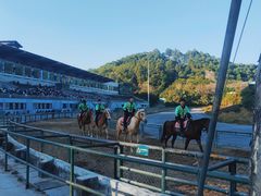 -深圳野生动物园