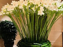 -LONG BAR 廊吧(外滩华尔道夫酒店)