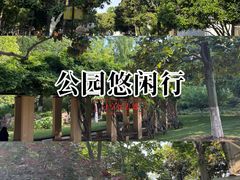 -月湖风景区