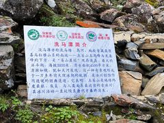 -南门绿玉农贸市场