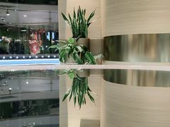 -奈雪的茶(凯德新都心店)