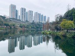 -重庆彩云湖湿地公园