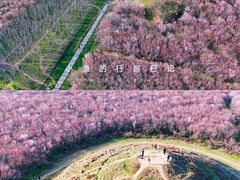 -明秦王墓遗址