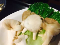 平菇-锅说大脸毛肚重庆老火锅(佐阾店)